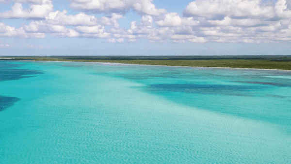 Tour a Tulum y Cenotes + Isla Mujeres en Catamarán + Cozumel en Catamarán + Isla Holbox