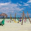 Experiencias únicas en Isla Holbox