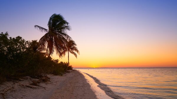 Las Coloradas + Isla Holbox + Chichén Itzá + Isla Mujeres en Catamarán