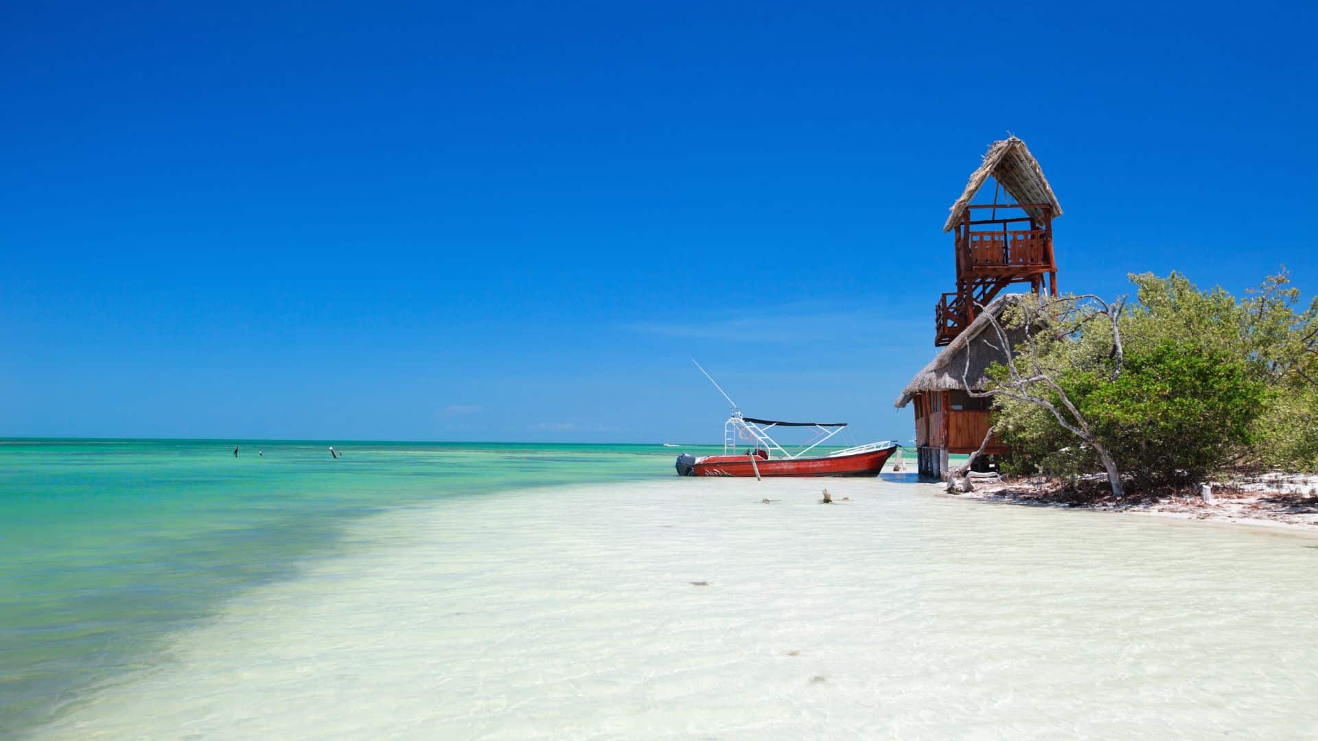 Qué hacer en Isla Holbox