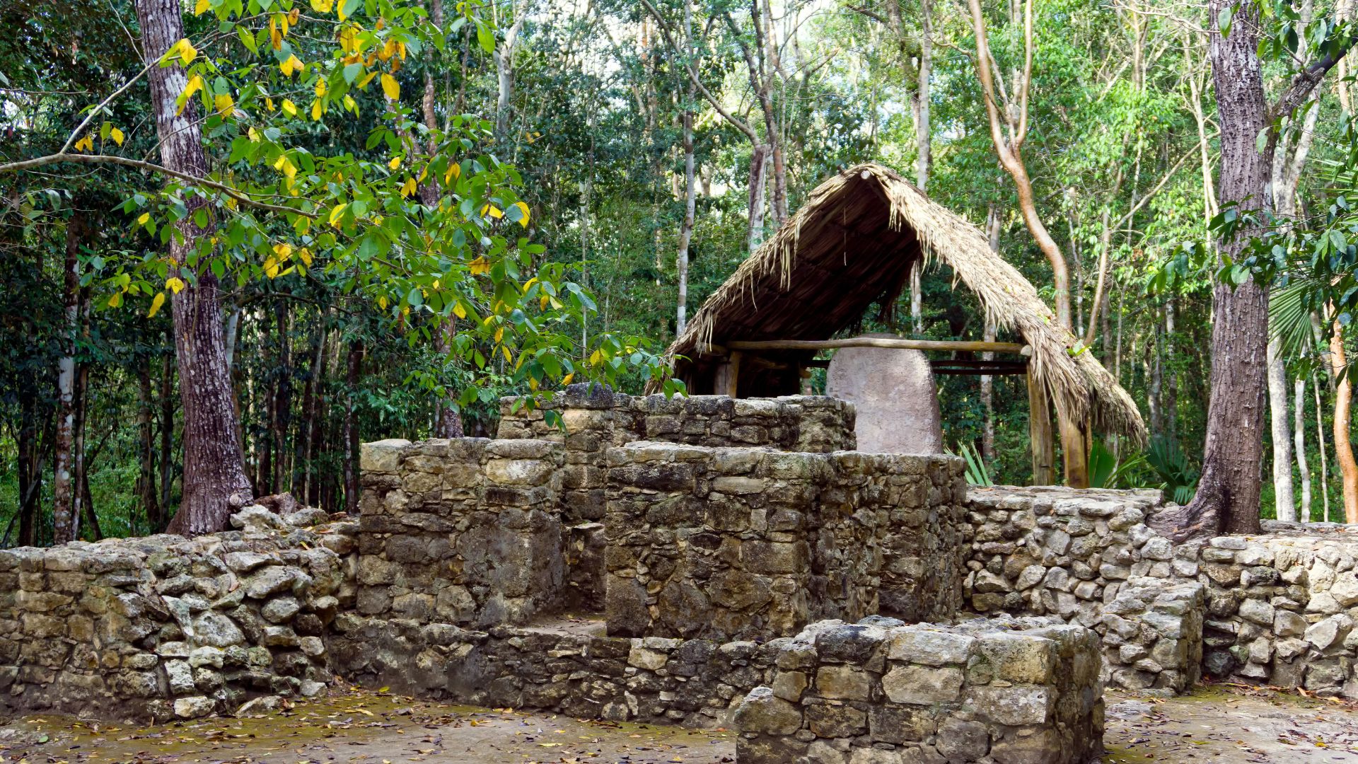 Tour a Tulum 4x1 - Coba