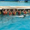 Grupo de turistas disfrutando de un nado con delfines