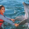 Pareja disfrutando del empuje de pie con delfines