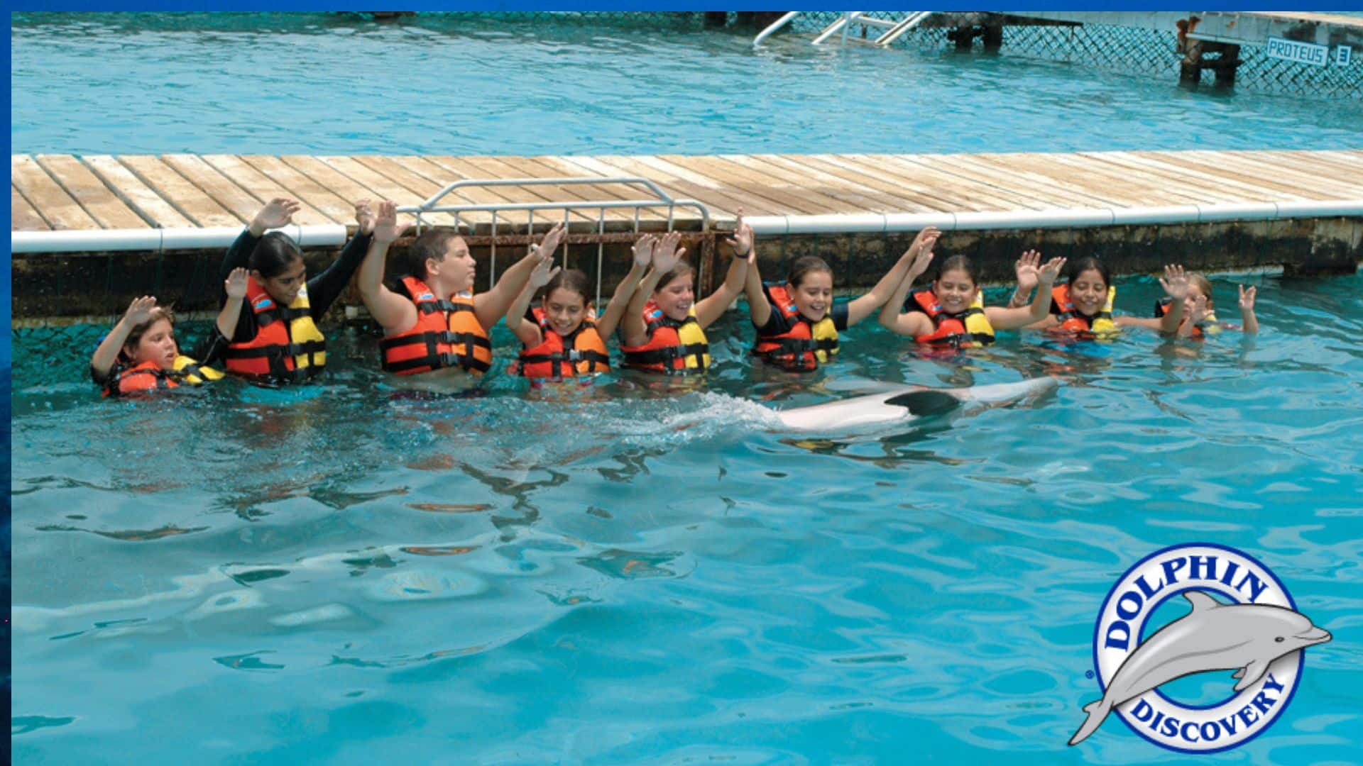 Grupo de turistas disfrutando de un nado con delfines