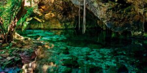 Tour a Tulum 4x1 - Cenotes