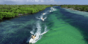 Jungle Tours en Cancún