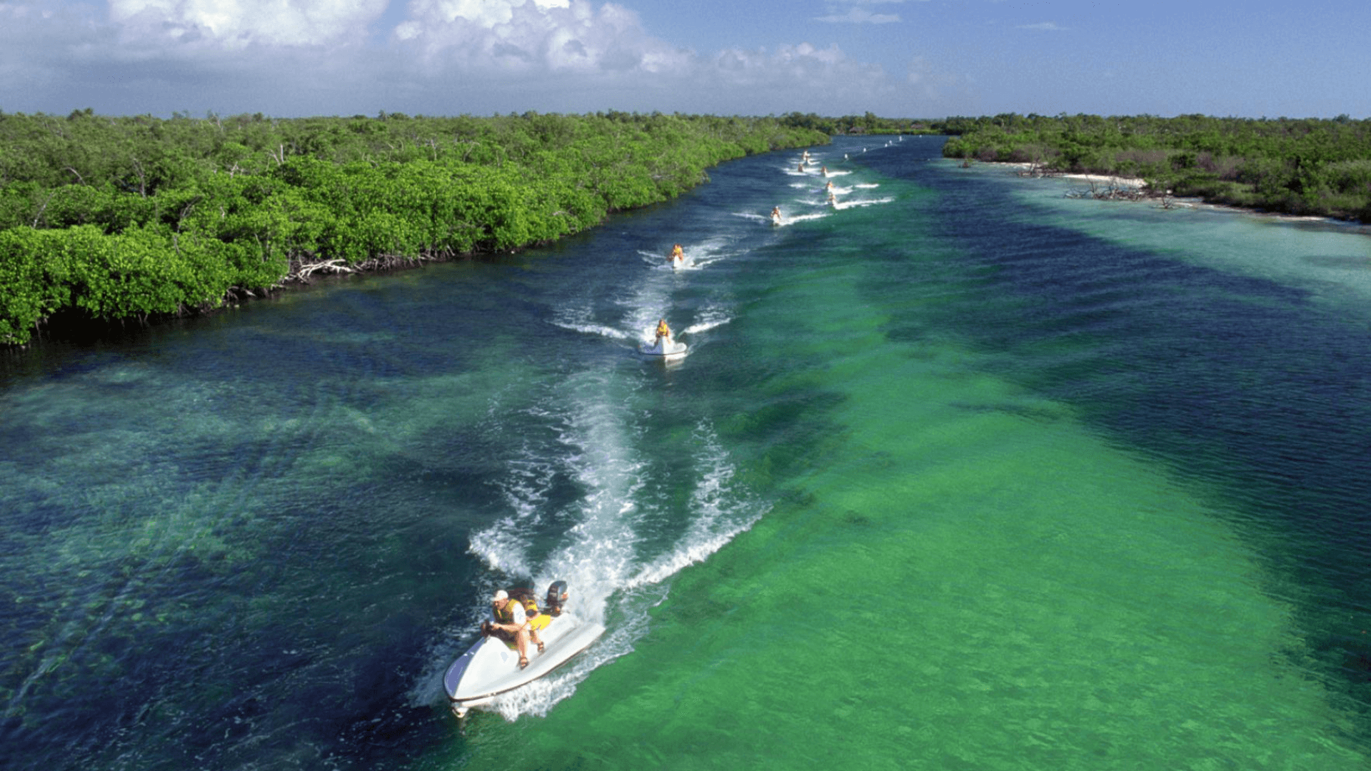 Jungle Tours en Cancún