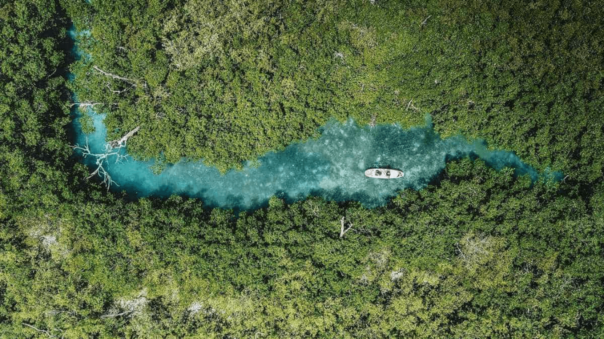 Lanchas Rápidas en Cancún