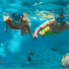 Jungle Tour en Lanchas Rápidas - Snorkel