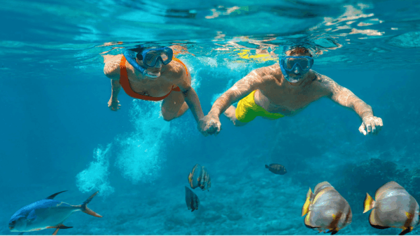 Jungle Tour en Lanchas Rápidas - Snorkel