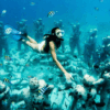 Tour a Tulum y Cenotes + Isla Mujeres en Catamarán + Cozumel en Catamarán + Isla Holbox