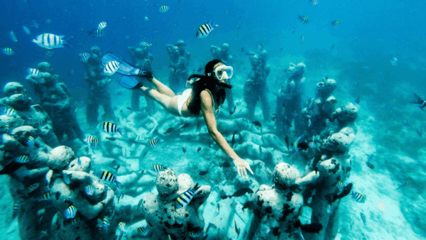 Tour a Tulum y Cenotes + Isla Mujeres en Catamarán + Cozumel en Catamarán + Isla Holbox