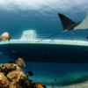 Submarino Atlantis explorando las profundidades de Cozumel.