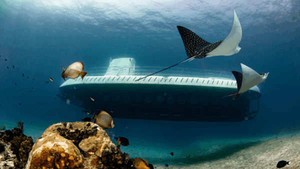 Submarino Atlantis explorando las profundidades de Cozumel.