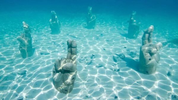 Snorkel en Cancún