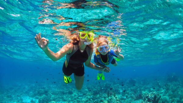 Total Snorkel