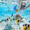 Total Snorkel