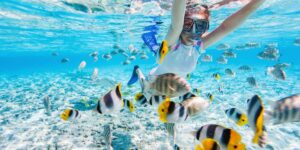 Total Snorkel