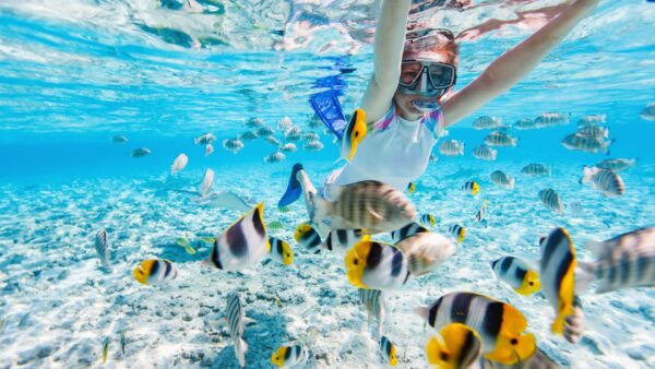 Total Snorkel