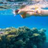 Akumal Nado Con Tortugas & Tulum