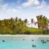 Tour a Isla Contoy Sailing