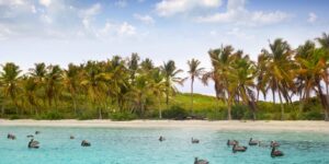 Tour Isla Contoy Adventure
