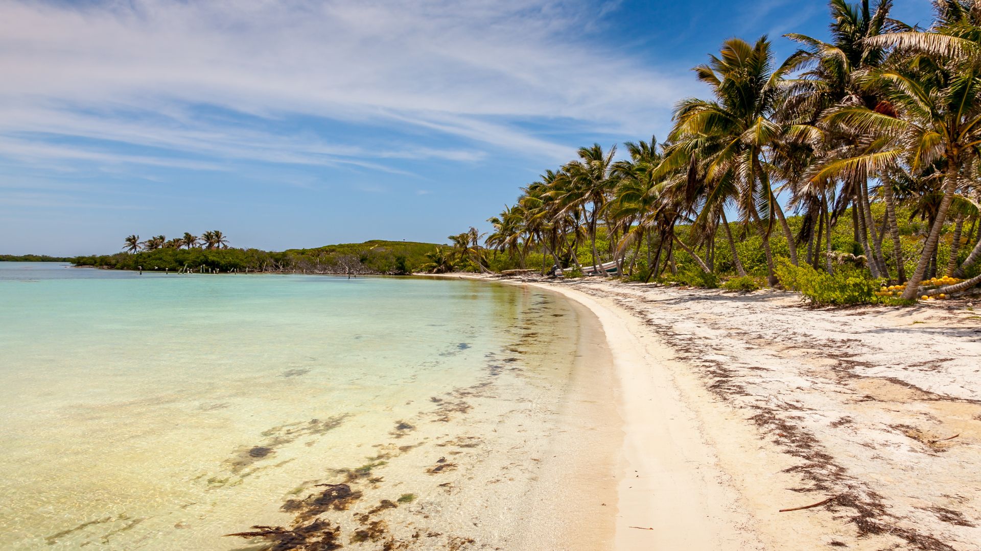 Playa virgen de Isla Contoy