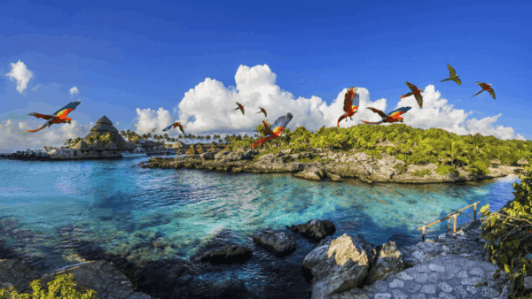 Xcaret Básico + Chichén Itzá Clásico + Isla Mujeres en Catamarán