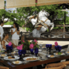 Xcaret Plus + Dolphin Ride + Xplor Dia + Xoximilco