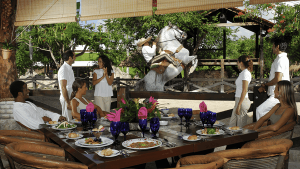 Xcaret Plus + Dolphin Ride + Xplor Dia + Xoximilco