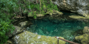 Exploración de un cenote en Xel-Há, México.