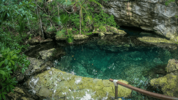 Exploración de un cenote en Xel-Há, México.