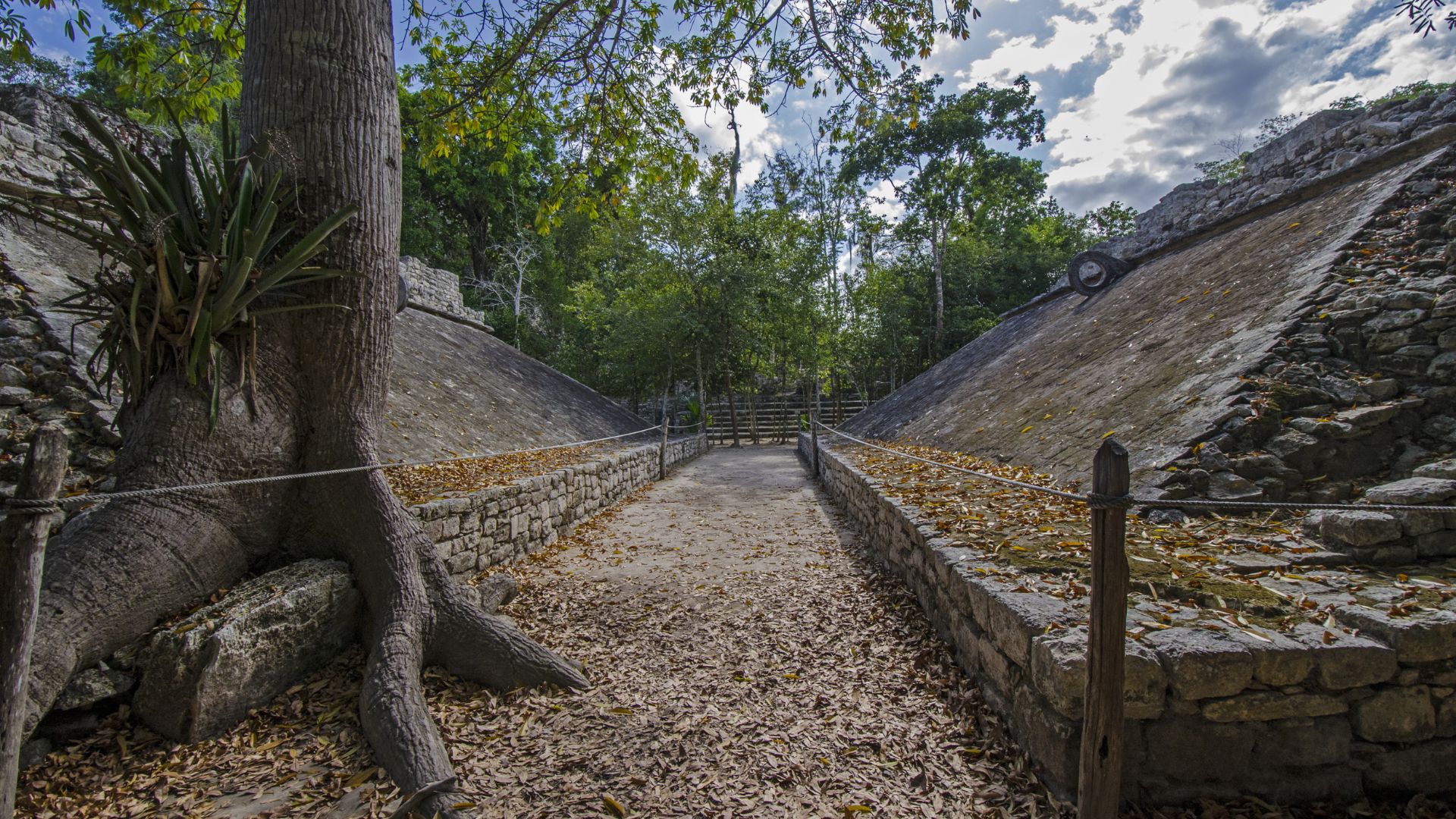 Vista aérea del sitio arqueológico de Chichén Itzá rodeado de selva.