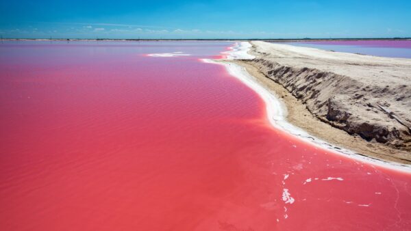 Las Coloradas Yucatán