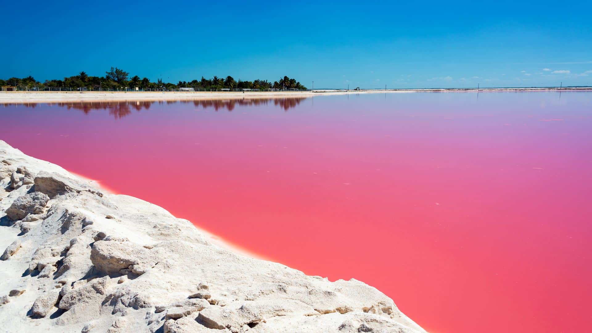 Paisaje de Las Coloradas con contrastes de colores vibrantes