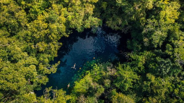 Xcaret Plus + Xel-Ha + Xenotes + Xoximilco