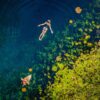 Xcaret Plus + Xel-Ha + Xenotes + Xoximilco