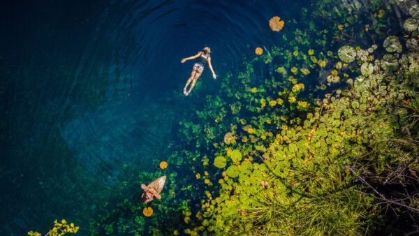 Xcaret Plus + Xel-Ha + Xenotes + Xoximilco