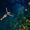 Xenotes