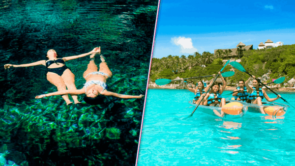 Tour Casa Tortugas y Cenotes + Garrafón Vip