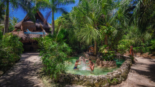Xcaret Plus + Dolphin Ride + Xplor Dia + Xoximilco