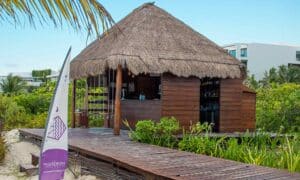 Dunan bar de playa